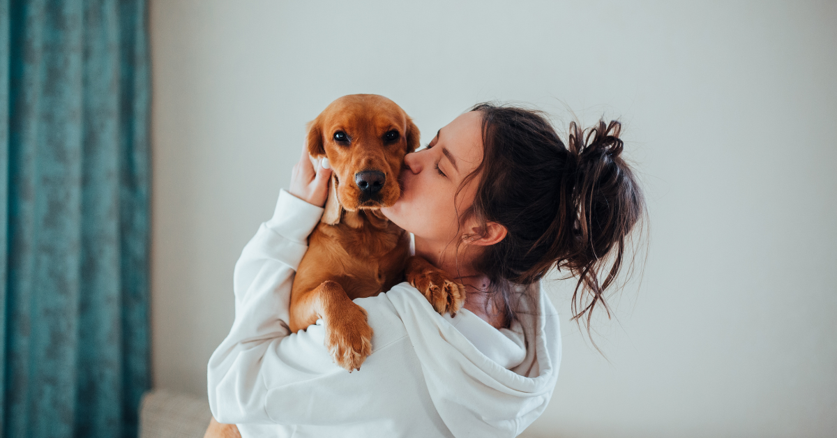 First-Time Dog Owner's Guide for NZ