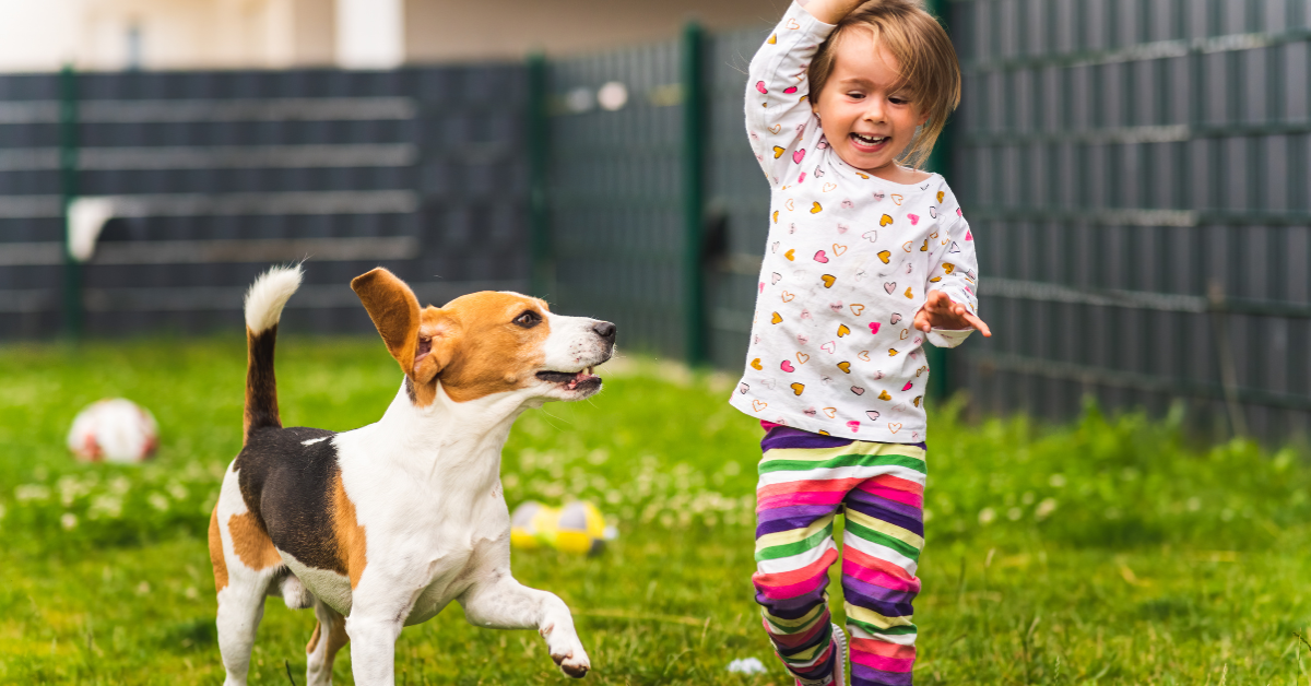 Keeping Your Backyard Safe for Kids and Dogs