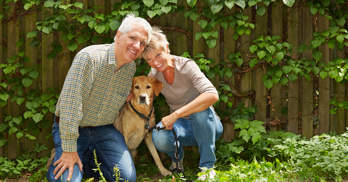 Dog Poo Pickup for Older Dog Owners: Keeping Your Yard Safe Without the Bending