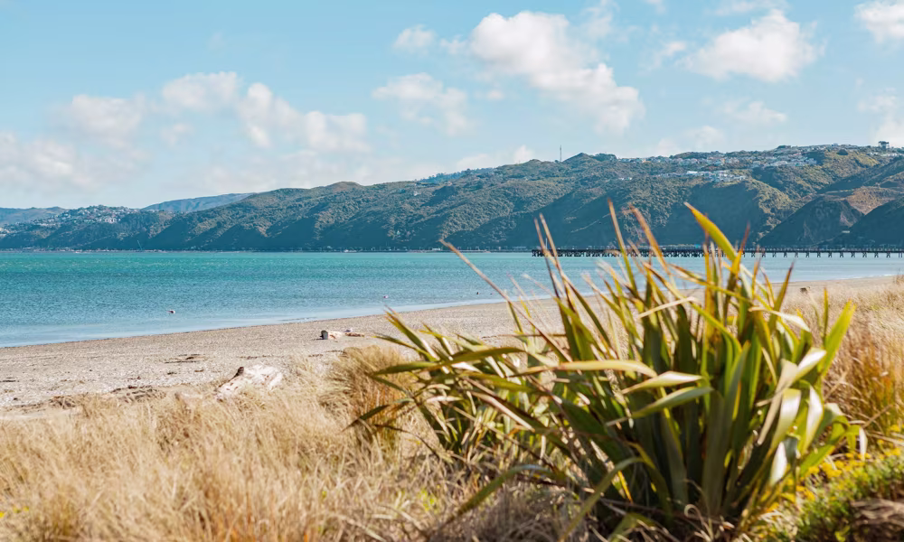 Best Dog Walking Spots in Lower Hutt, NZ