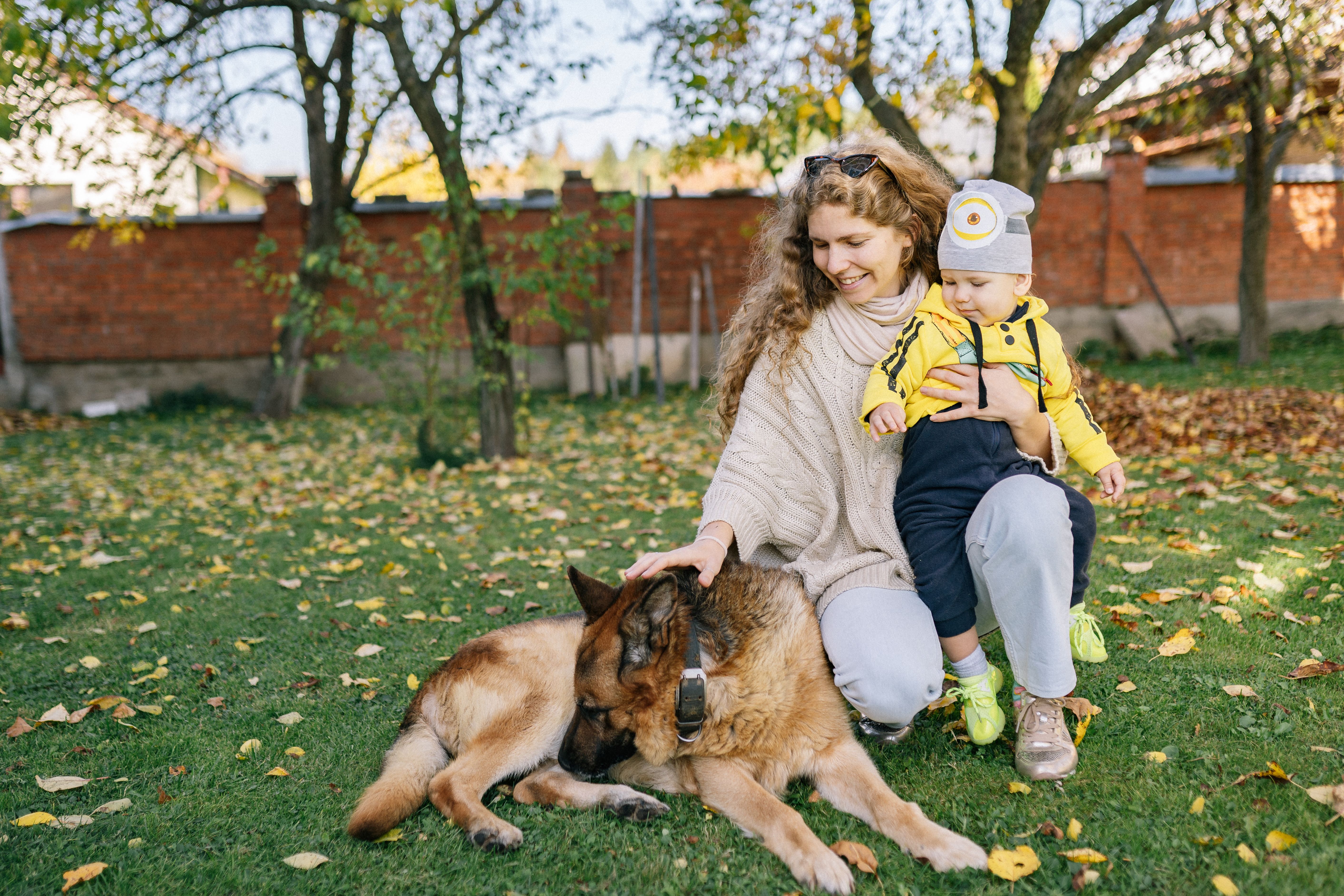 Professional vs DIY Dog Waste Removal: Which Wins?