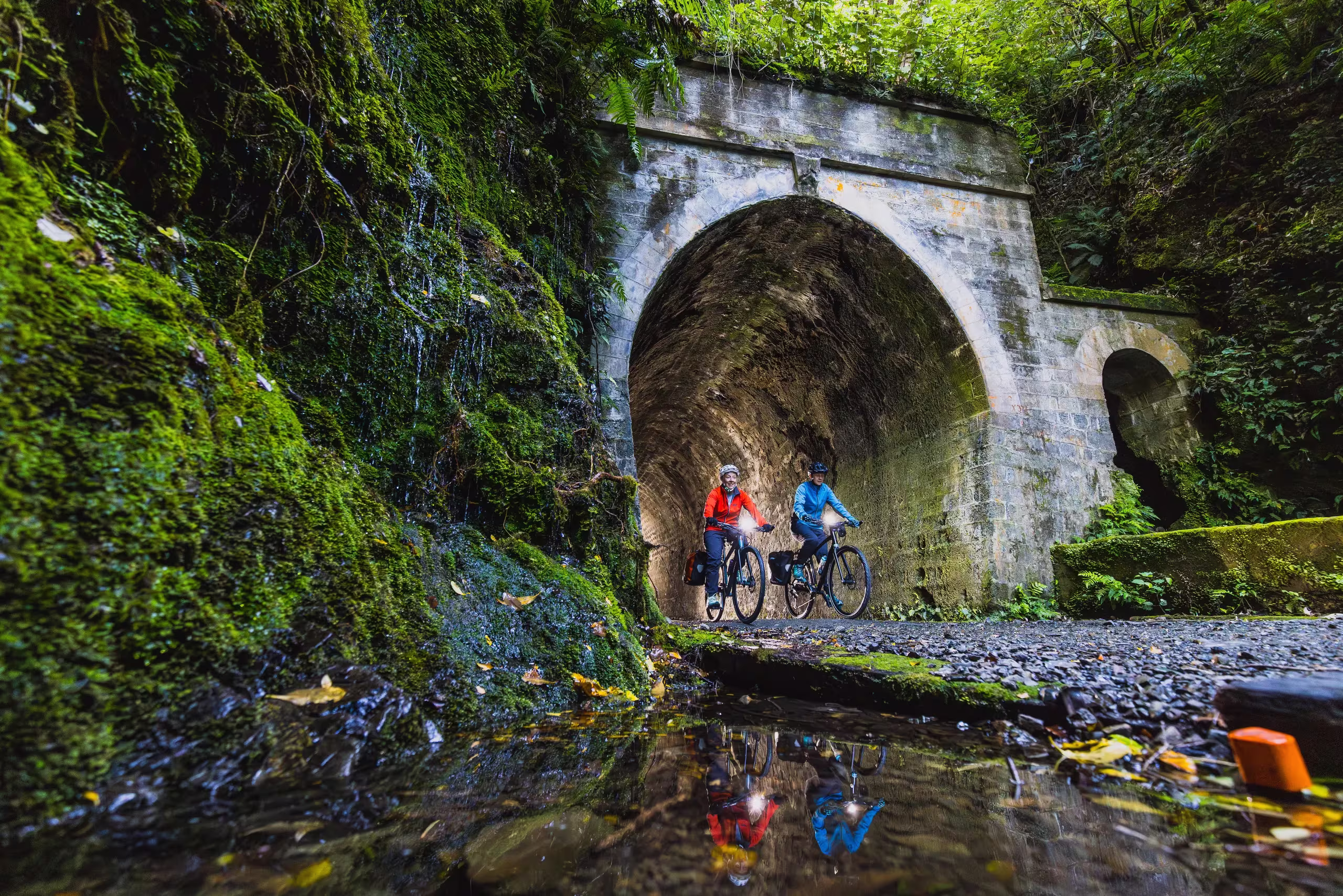 Best Dog Walking Spots in Upper Hutt, NZ