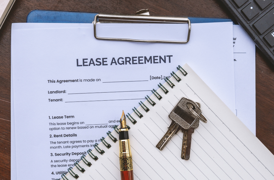 Pet Bonds in NZ: What Wellington Landlords Need to Know