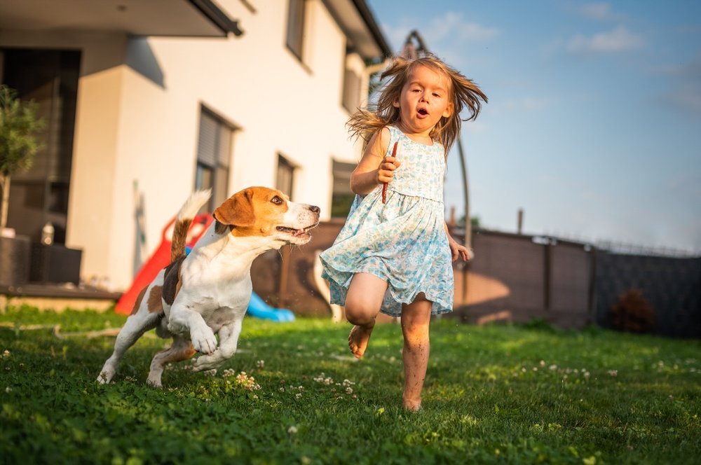 Why Wellington's Wet Winters Make Yard Hygiene Harder